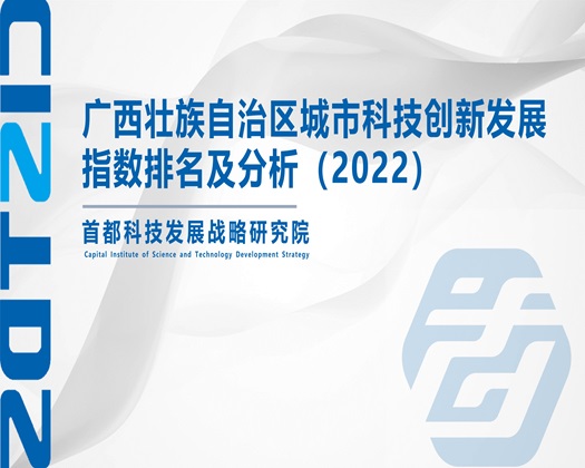 欧美日比【成果发布】广西壮族自治区城市科技创新发展指数排名及分析（2022）